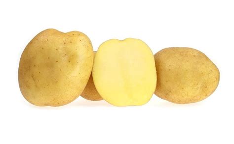 hermes potato variety|Potato Variety Database.